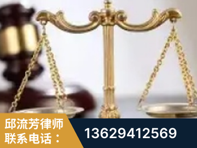当阳-委托诉讼代理人出庭